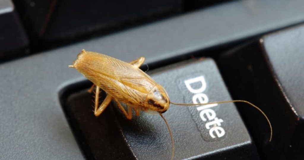 Уничтожение тараканов в офисе в Орске